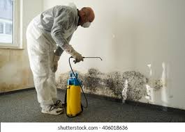 Best Biohazard Mold Removal in USA